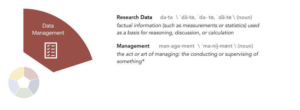Data management definition